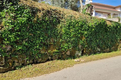 Helårsgrund i Viseu, Viseu, Viseu - € 49.500 | Ref: C0203-02285 - foto 2