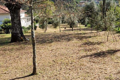 Helårsgrund i Viseu, Viseu, Viseu - € 49.500 | Ref: C0203-02285 - foto 4