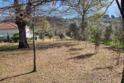 Helårsgrund i Viseu, Viseu, Viseu - € 49.500 | Ref: C0203-02285 - foto 5