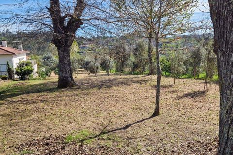 Helårsgrund i Viseu, Viseu, Viseu - € 49.500 | Ref: C0203-02285 - foto 6