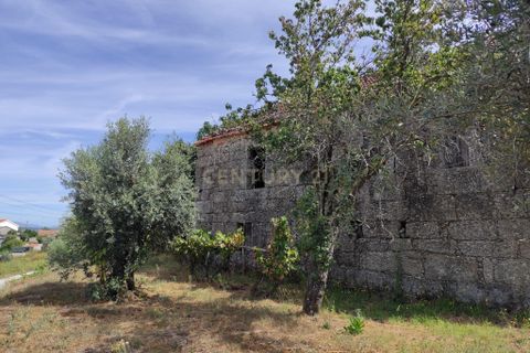Villa a Santa Comba Dao, Viseu, Santa Comba Dao - € 45.000 | Ref: C0203-02352 - foto 7