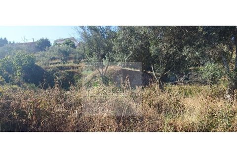 Villa a Guarda, Guarda, Guarda - € 7.000 | Ref: CAS_616 - foto 5