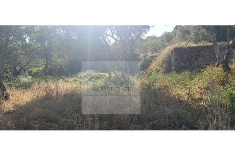 Villa a Guarda, Guarda, Guarda - € 7.000 | Ref: CAS_616 - foto 7