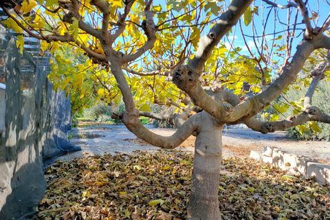 Villa i Lorca, Murcia, Lorca - € 990.000 | Ref: 0004v/10853 - foto 36