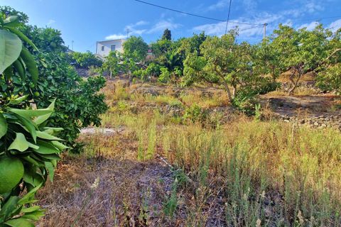 Landejendom i Vinuela, Malaga, Vinuela - € 210.000 | Ref: AX1341 - foto 32