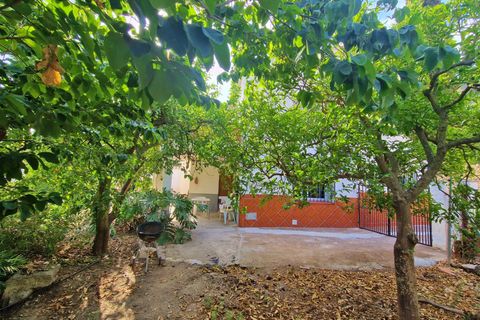 Landejendom i Vinuela, Malaga, Vinuela - € 210.000 | Ref: AX1341 - foto 4