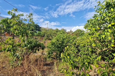 Landejendom i Vinuela, Malaga, Vinuela - € 210.000 | Ref: AX1341 - foto 34