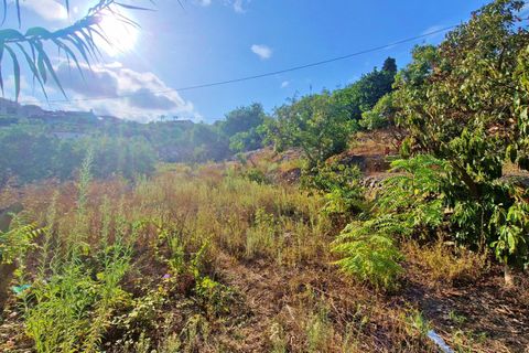 Landejendom i Vinuela, Malaga, Vinuela - € 210.000 | Ref: AX1341 - foto 33