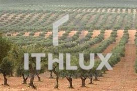 Farm i Elvas, Portalegre, Elvas - € 2.200.000 | Ref: ITH2642 - foto 3
