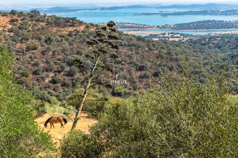 Farm i Elvas, Portalegre, Elvas - € 2.200.000 | Ref: ITH2642 - foto 7