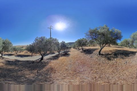 Farm i Elvas, Portalegre, Elvas - € 2.200.000 | Ref: ITH2642 - foto 12