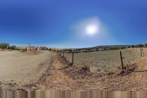 Farm i Elvas, Portalegre, Elvas - € 2.200.000 | Ref: ITH2642 - foto 14