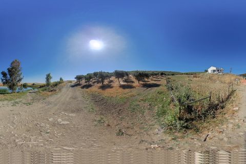 Farm i Elvas, Portalegre, Elvas - € 2.200.000 | Ref: ITH2642 - foto 17