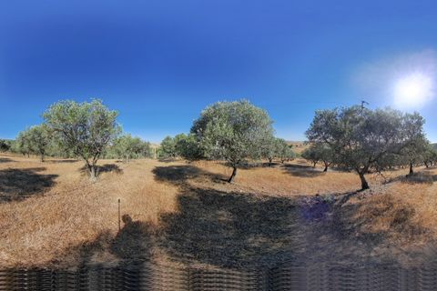 Farm i Elvas, Portalegre, Elvas - € 2.200.000 | Ref: ITH2642 - foto 18