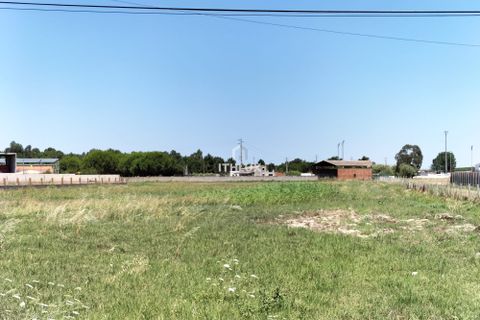Tomt i Benavente, Santarem, Benavente - € 500 000 | Ref: ITH2869 - foto 5