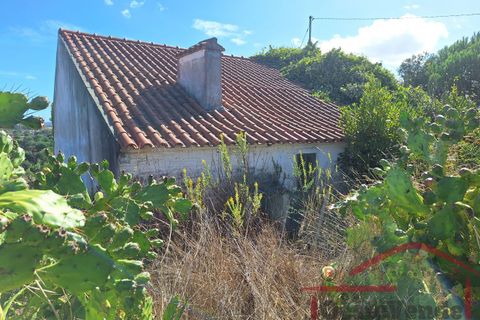 Villa i Cadaval, Lisbon, Cadaval - € 90.000 | Ref: 025-2024 - foto 5