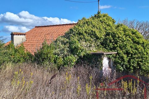 Villa i Cadaval, Lisbon, Cadaval - € 90.000 | Ref: 025-2024 - foto 6