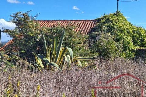 Villa i Cadaval, Lisbon, Cadaval - € 90.000 | Ref: 025-2024 - foto 26