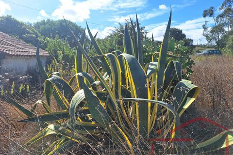 Villa i Cadaval, Lisbon, Cadaval - € 90.000 | Ref: 025-2024 - foto 30