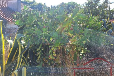 Villa i Cadaval, Lisbon, Cadaval - € 90.000 | Ref: 025-2024 - foto 31