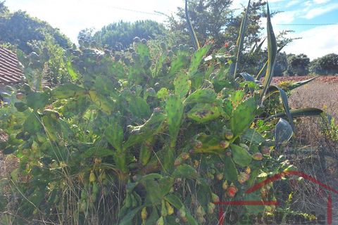 Villa i Cadaval, Lisbon, Cadaval - € 90.000 | Ref: 025-2024 - foto 32