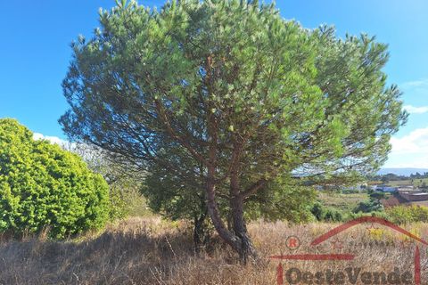 Villa i Cadaval, Lisbon, Cadaval - € 90.000 | Ref: 025-2024 - foto 33