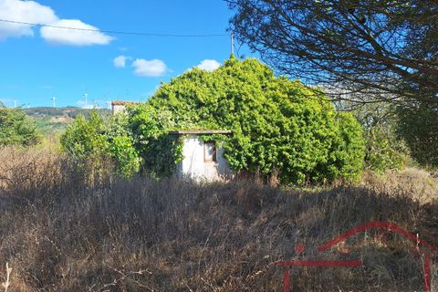 Villa i Cadaval, Lisbon, Cadaval - € 90.000 | Ref: 025-2024 - foto 34