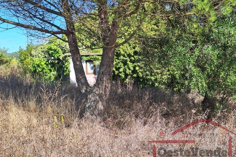Villa i Cadaval, Lisbon, Cadaval - € 90.000 | Ref: 025-2024 - foto 35
