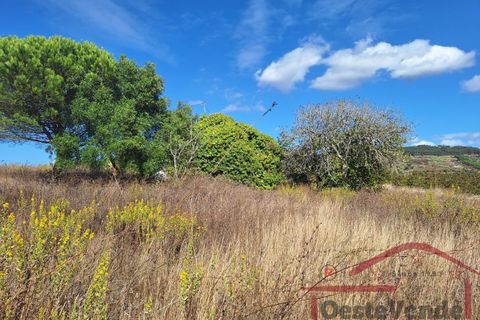 Villa i Cadaval, Lisbon, Cadaval - € 90.000 | Ref: 025-2024 - foto 36