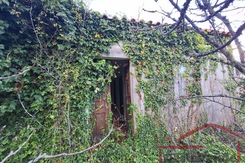 Villa i Cadaval, Lisbon, Cadaval - € 90.000 | Ref: 025-2024 - foto 25