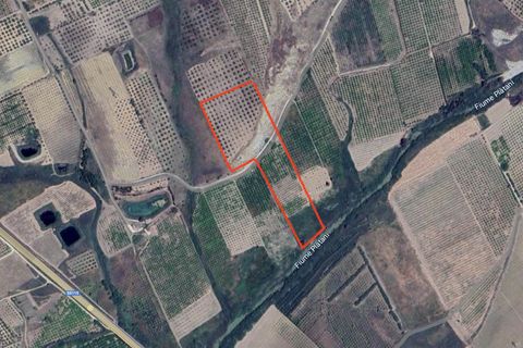 Helårsgrund i Ribera, Agrigento, Ribera - € 80.000 | Ref: T/213 - foto 11