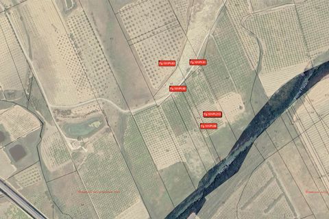 Helårsgrund i Ribera, Agrigento, Ribera - € 80.000 | Ref: T/213 - foto 10