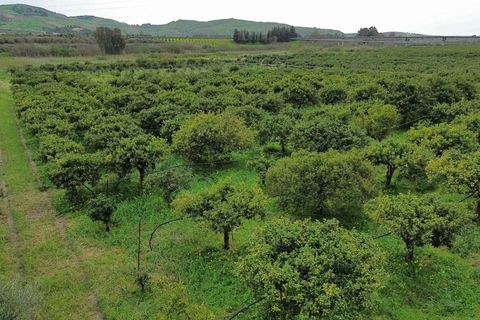 Helårsgrund i Ribera, Agrigento, Ribera - € 80.000 | Ref: T/213 - foto 2