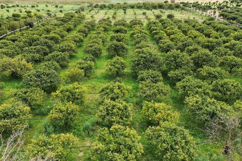 Helårsgrund i Ribera, Agrigento, Ribera - € 80.000 | Ref: T/213 - foto 3