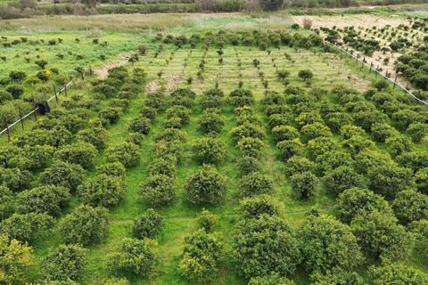 Helårsgrund i Ribera, Agrigento, Ribera - € 80.000 | Ref: T/213 - foto 4