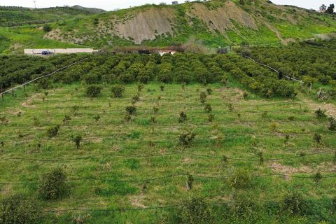 Helårsgrund i Ribera, Agrigento, Ribera - € 80.000 | Ref: T/213 - foto 5