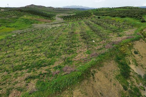 Helårsgrund i Ribera, Agrigento, Ribera - € 80.000 | Ref: T/213 - foto 8
