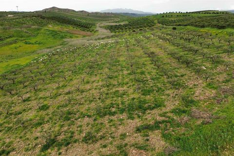 Helårsgrund i Ribera, Agrigento, Ribera - € 80.000 | Ref: T/213 - foto 9