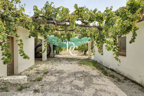 Landejendom i Rubi, Barcelona, Rubi - € 1.800.000 | Ref: 5643 - foto 8