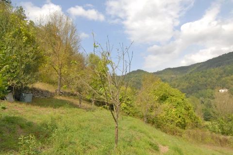 Villa a Saliceto, Cuneo, Saliceto - € 78.000 | Ref: SLC004 - foto 13