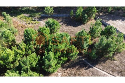 Helårsgrund i Maxial e Monte Redondo, Lisbon, Maxial e Monte Redondo - € 180.000 | Ref: SAFTI:005811 - foto 4