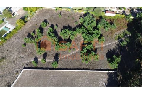 Helårsgrund i Maxial e Monte Redondo, Lisbon, Maxial e Monte Redondo - € 180.000 | Ref: SAFTI:005811 - foto 10