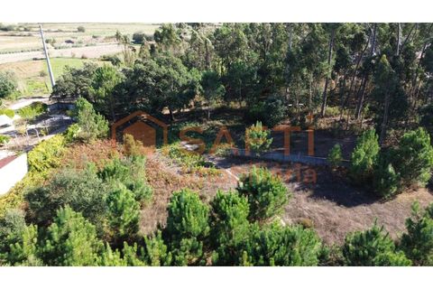 Helårsgrund i Maxial e Monte Redondo, Lisbon, Maxial e Monte Redondo - € 180.000 | Ref: SAFTI:005811 - foto 11