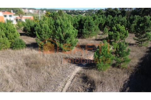 Helårsgrund i Maxial e Monte Redondo, Lisbon, Maxial e Monte Redondo - € 180.000 | Ref: SAFTI:005811 - foto 12