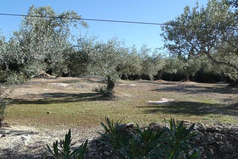 Landejendom i L'Ampolla, Tarragona, L'Ampolla - € 295.000 | Ref: Amp5069joe - foto 43