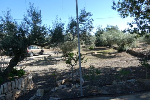 Landejendom i L'Ampolla, Tarragona, L'Ampolla - € 295.000 | Ref: Amp5069joe - foto 31