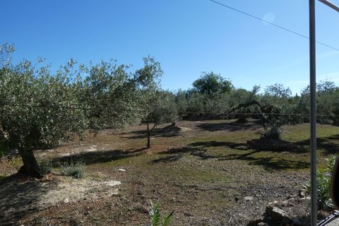Landejendom i L'Ampolla, Tarragona, L'Ampolla - € 295.000 | Ref: Amp5069joe - foto 44