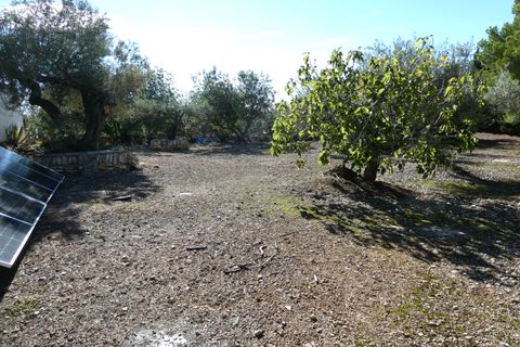 Landejendom i L'Ampolla, Tarragona, L'Ampolla - € 295.000 | Ref: Amp5069joe - foto 35