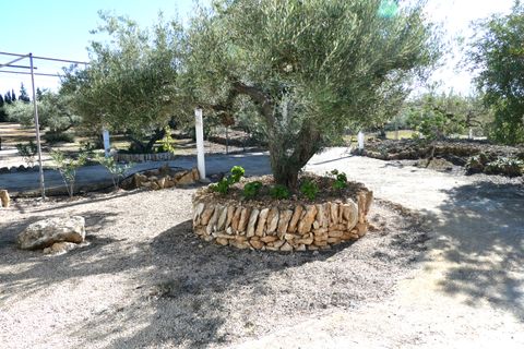 Landejendom i L'Ampolla, Tarragona, L'Ampolla - € 295.000 | Ref: Amp5069joe - foto 27