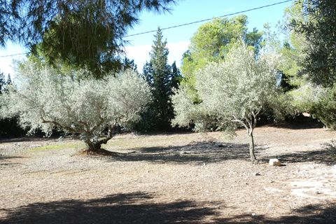 Landejendom i L'Ampolla, Tarragona, L'Ampolla - € 295.000 | Ref: Amp5069joe - foto 38